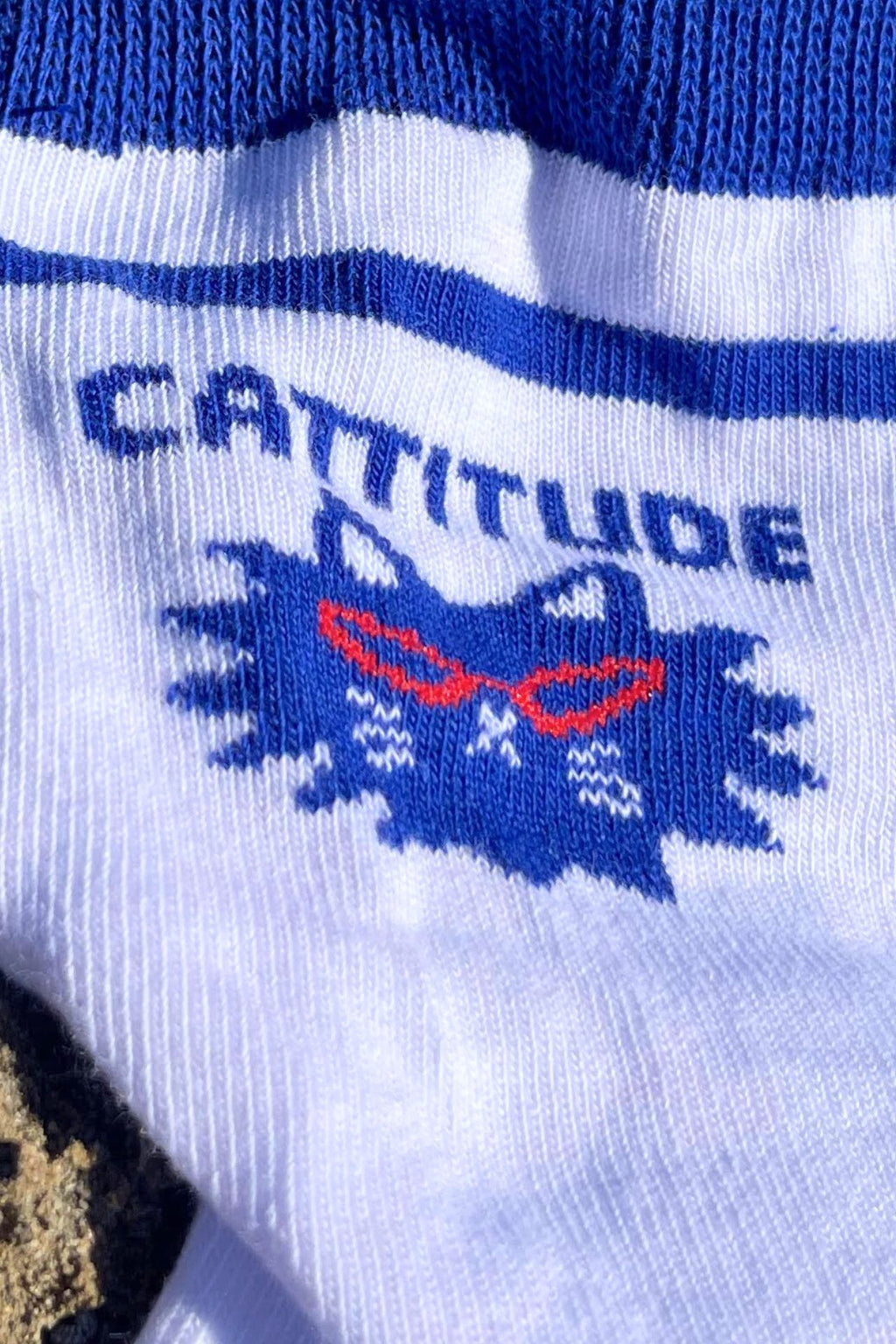 FIZZKINI Cattitude Crew Socks – Blue & White