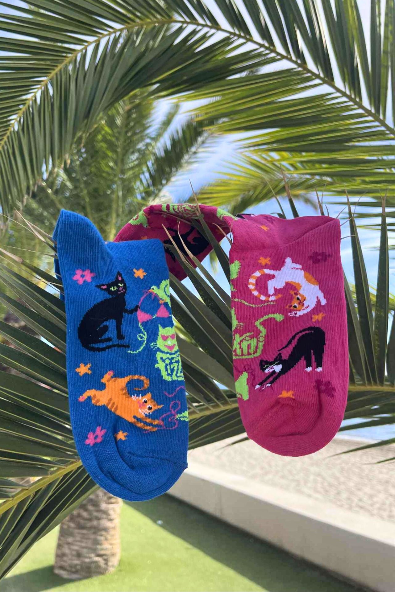 FIZZKINI Split Cat Crew Socks – Blue & Pink
