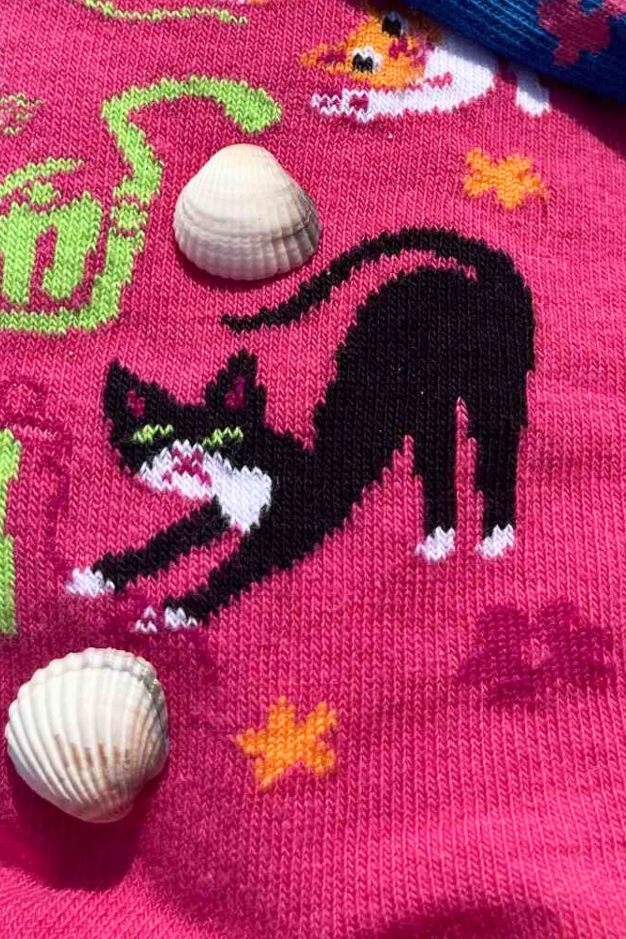 FIZZKINI Split Cat Crew Socks – Blue & Pink